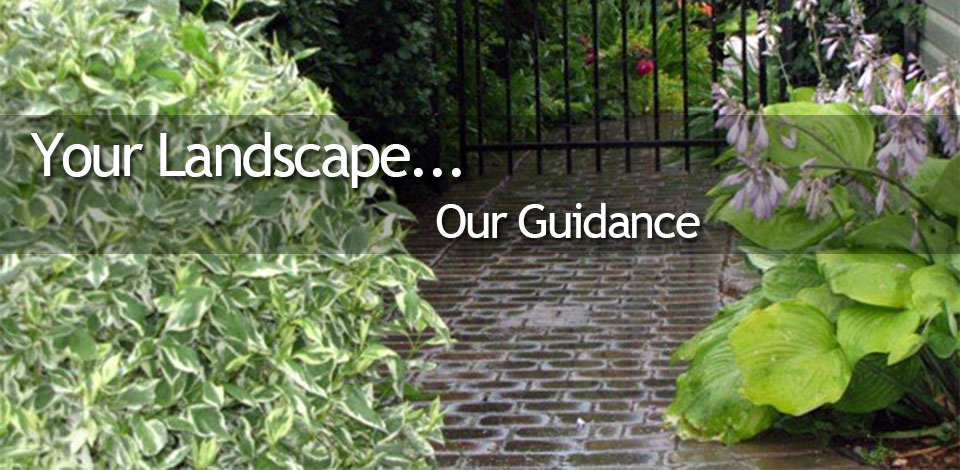 Your Landscape... Our Guidance